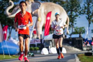 BIB: 
                            <button type="button" onclick="openModal(26541390)" class="btn btn-primary btn-sm float-right btn-popup" data-toggle="modal" data-target=".modal-high-quality">
                        <i class="fas fa-shopping-cart"></i> Add to Cart
                    </button>
                                            <button type="button" onclick="isThisMe(26541390, true)" class="btn btn-success btn-sm float-right btn-popup btn-isme hidden" data-toggle="tooltip" data-placement="bottom" title="นี่คือรูปของคุณใช่ไหม คลิกที่นี่เพื่อเอาเข้าอัลบั้ม">
                        <i class="fas fa-plus"></i> Add to album
                    </button>
                    <button type="button" onclick="isThisMe(26541390, false)" class="btn btn-warning btn-sm float-right btn-popup btn-isnotme hidden">
                        <i class="fas fa-ban"></i> Remove from album
                    </button>